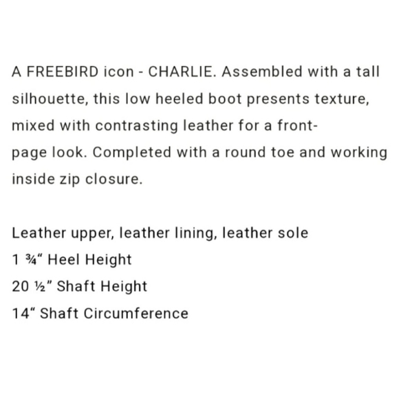 Freebird Charlie Boot - Picture 2 of 16